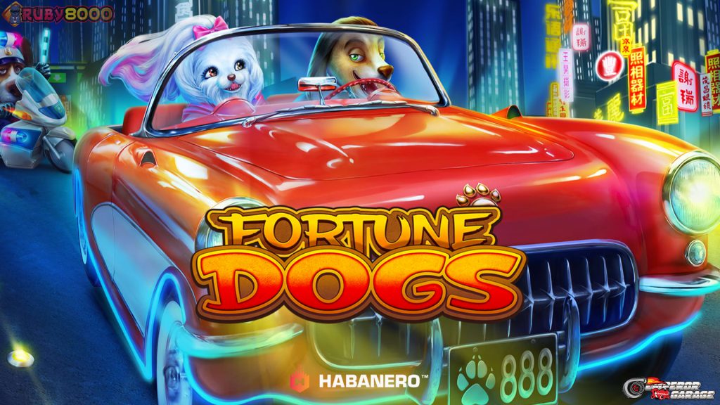 3 Alasan Fortune Dogs Lebih Unggul di Ruby8000 Link Alternatif