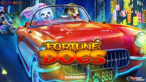 3 Alasan Fortune Dogs Lebih Unggul di Ruby8000 Link Alternatif