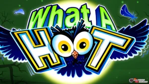 Dinamika Komedi What A Hoot Ada 4 Level Kelucuan Yang Berbeda